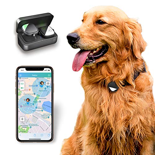 PetFon Pet GPS Tracker